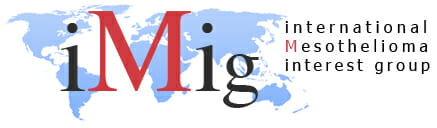 IMIG logo